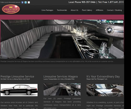 CheckSite Websites & SEO St.Catharines Niagara SEO