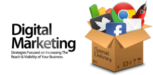 CheckSite Websites & SEO St.Catharines Niagara SEO