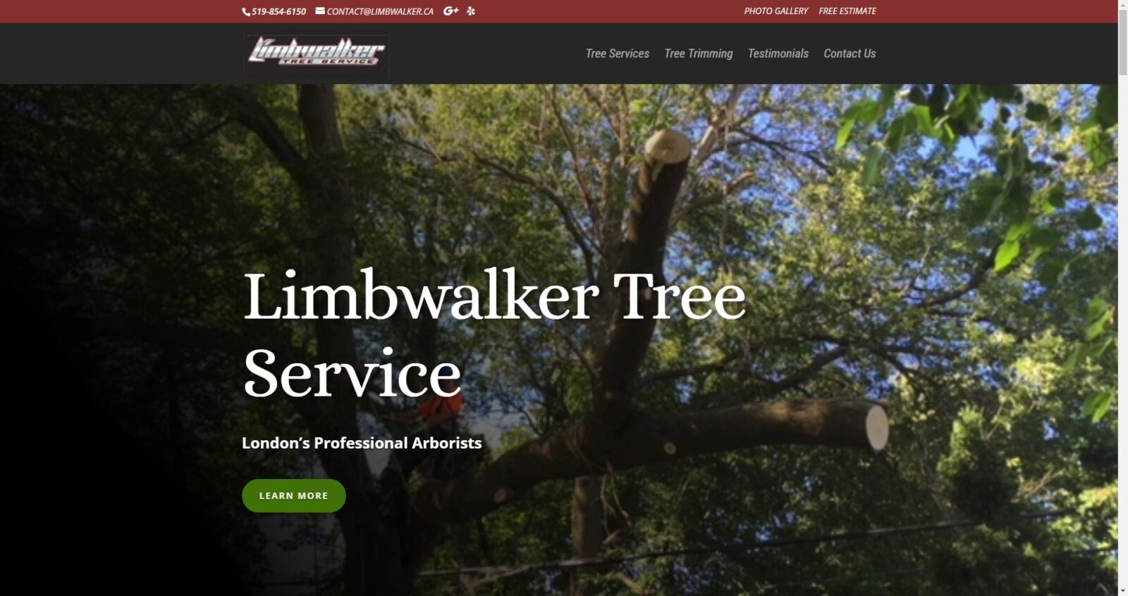 Limbwalker Tree Service London’s Professional Arborists