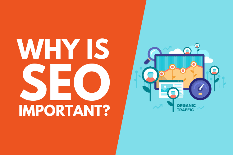 Why SEO is Important for Your Business