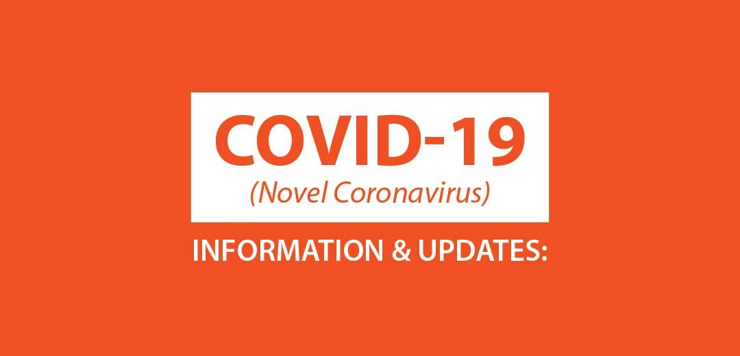 Reasons Why You Shouldn’t Stop SEO Efforts During COVID-19