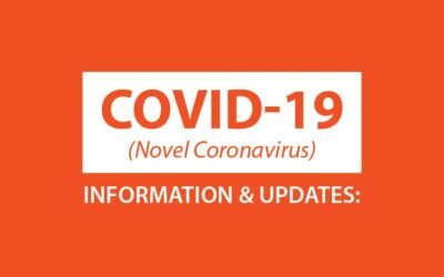 Reasons Why You Shouldn’t Stop SEO Efforts During COVID-19