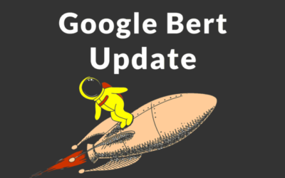 Experts Explain Google BERT and What to Do About It