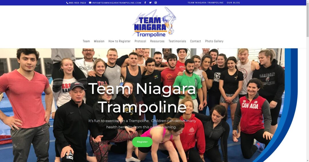 Niagara Website Design