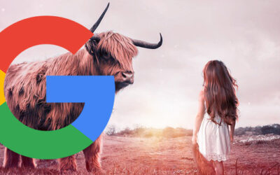 Ranking Top In Google Is Hard, It Doesn’t Mean You Can’t Succeed